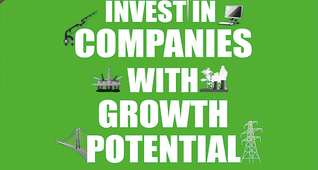 Invest In Companies With Growth Potential