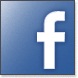 Facebook a Future Advertising Force